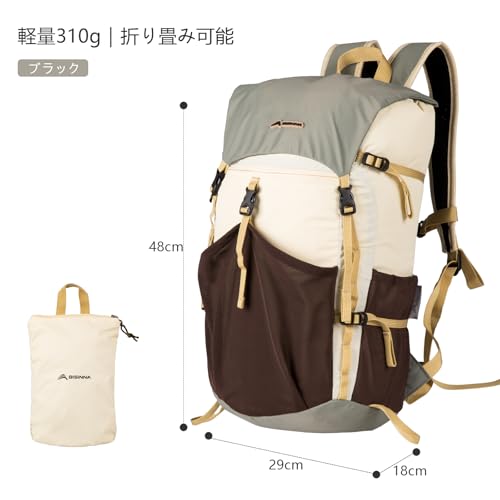 Amazon.co.jp: BISINNA: バックパック